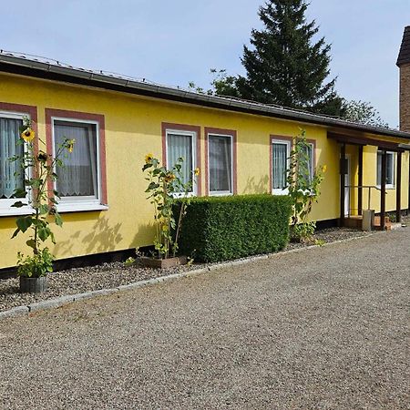 Ferienwohnungen "Zur Schamper Muehle" Gotthun Eksteriør bilde